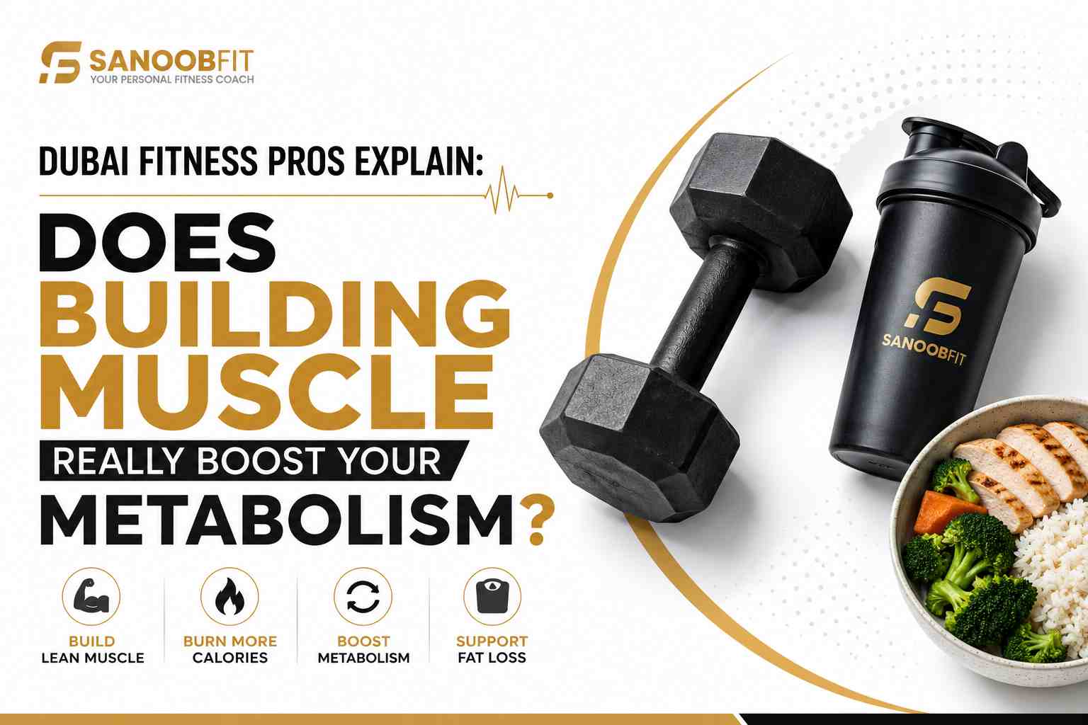 Dubai Fitness Pros Explain